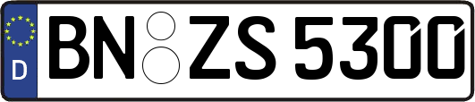 BN-ZS5300
