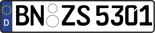 BN-ZS5301