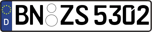 BN-ZS5302