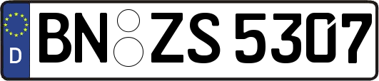 BN-ZS5307