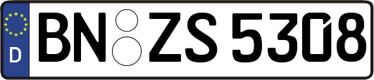 BN-ZS5308