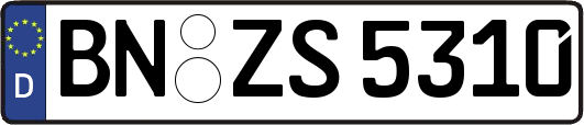 BN-ZS5310