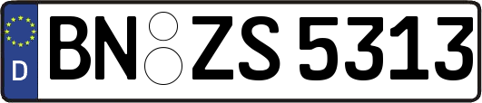 BN-ZS5313
