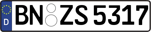 BN-ZS5317