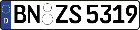 BN-ZS5319