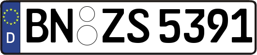 BN-ZS5391