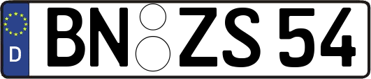 BN-ZS54