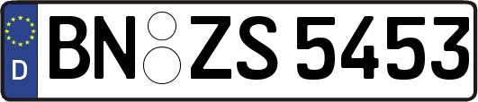 BN-ZS5453