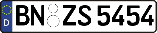 BN-ZS5454