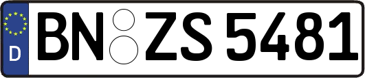 BN-ZS5481