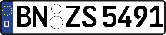 BN-ZS5491