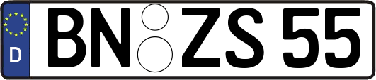 BN-ZS55