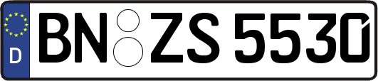 BN-ZS5530