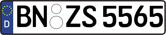 BN-ZS5565