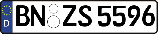 BN-ZS5596
