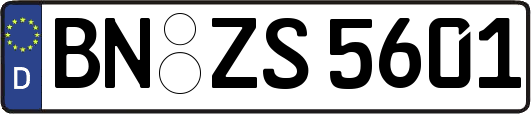 BN-ZS5601