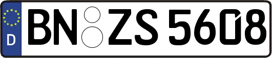 BN-ZS5608