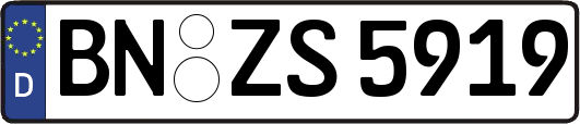 BN-ZS5919
