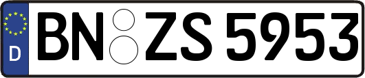 BN-ZS5953