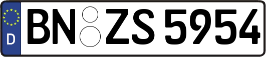 BN-ZS5954