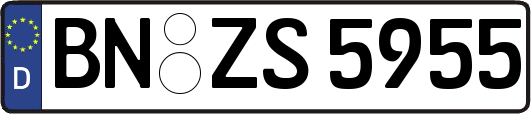 BN-ZS5955
