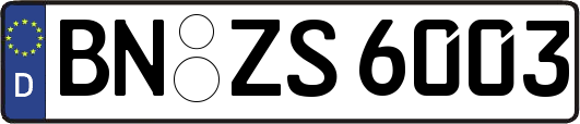 BN-ZS6003