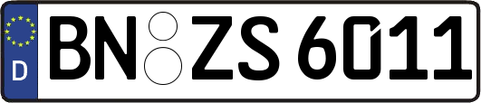 BN-ZS6011