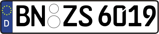 BN-ZS6019