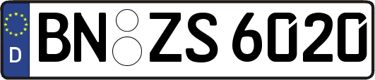 BN-ZS6020
