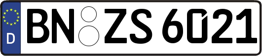 BN-ZS6021