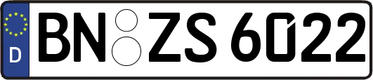 BN-ZS6022