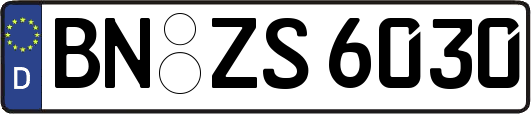 BN-ZS6030