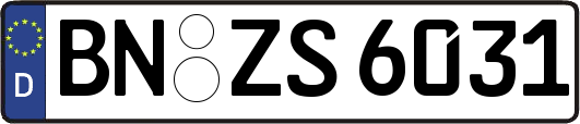 BN-ZS6031