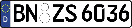 BN-ZS6036