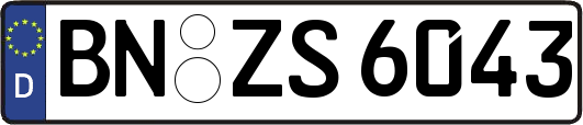 BN-ZS6043