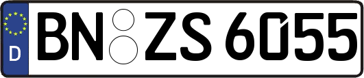 BN-ZS6055