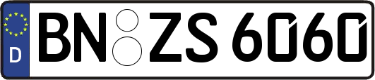 BN-ZS6060