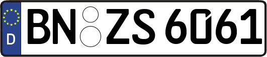 BN-ZS6061