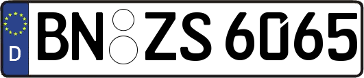 BN-ZS6065