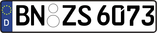 BN-ZS6073