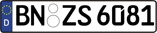 BN-ZS6081