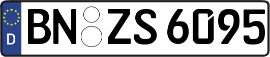BN-ZS6095