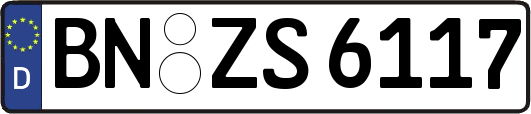 BN-ZS6117