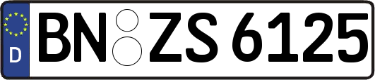BN-ZS6125