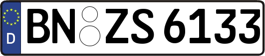 BN-ZS6133