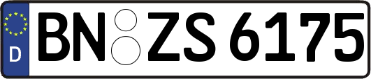 BN-ZS6175