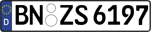 BN-ZS6197