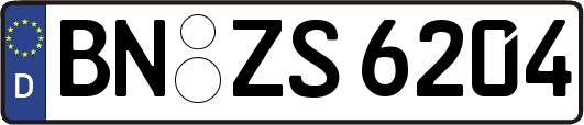 BN-ZS6204
