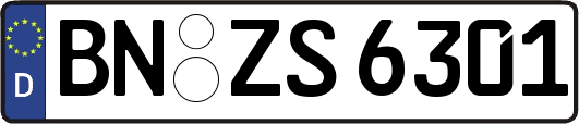 BN-ZS6301