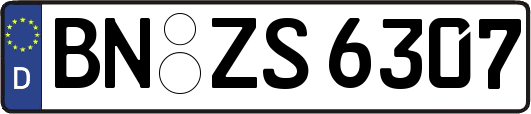 BN-ZS6307